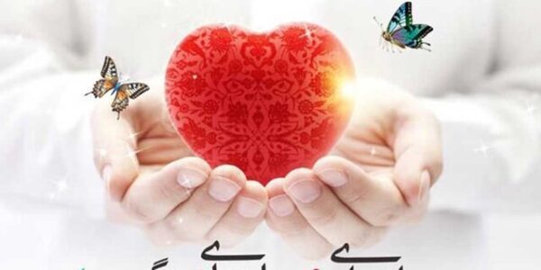 امسال اعضای بدن ۱۱ همدانی به بیماران نیازمند اهدا شد