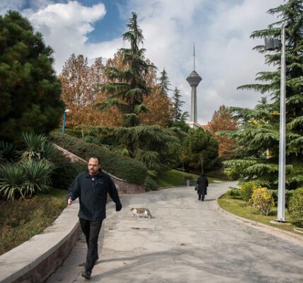 هوای تهران در شرایط مطلوب