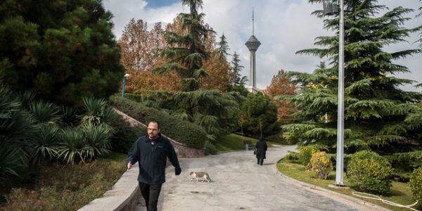 هوای تهران در شرایط مطلوب
