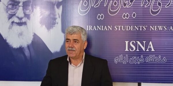 کمبود عمده‌فروشان و وابستگی به بازار تهران ضعف تیم‌های نظارتی در بازار ایلام