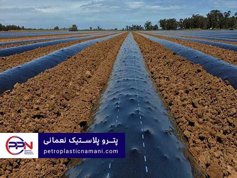 همه چیز درباره نقاط قوت و ضعف نایلون شیرینگ در صنعت بسته بندی تصویر 1