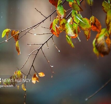 باران در پارسیان هرمزگان آغاز شد