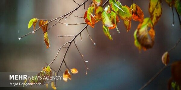 باران در پارسیان هرمزگان آغاز شد