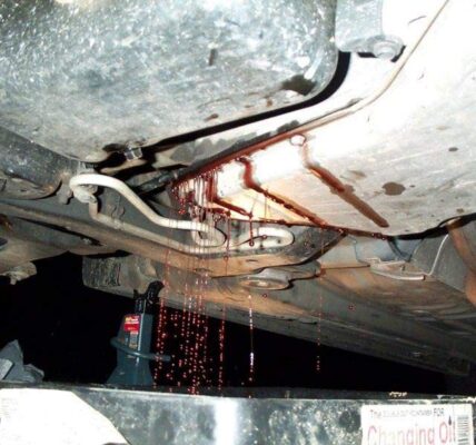 چرا از زیر ماشین روغن میریزه تصویر 1