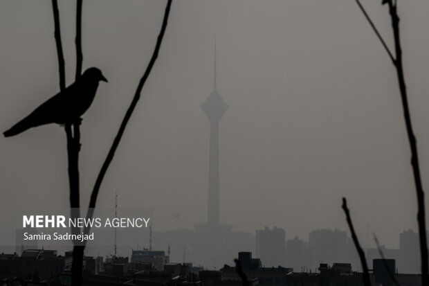هوای تهران در مرز آلودگی است