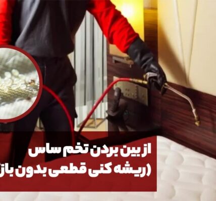 از بین بردن تخم ساس (ریشه کنی قطعی بدون بازگشت)
