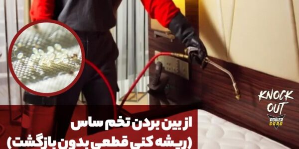 از بین بردن تخم ساس (ریشه کنی قطعی بدون بازگشت)