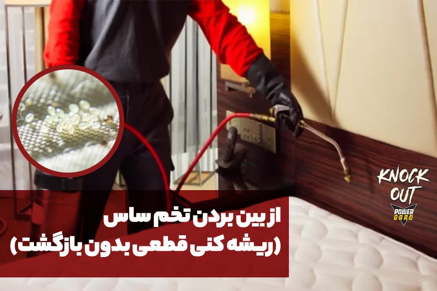 از بین بردن تخم ساس (ریشه کنی قطعی بدون بازگشت) تصویر 1