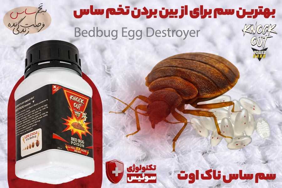 از بین بردن تخم ساس (ریشه کنی قطعی بدون بازگشت) تصویر 4